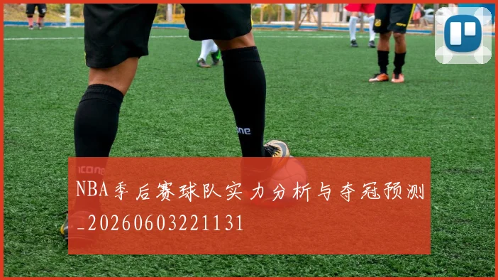 NBA季后赛球队实力分析与夺冠预测_20260603221131